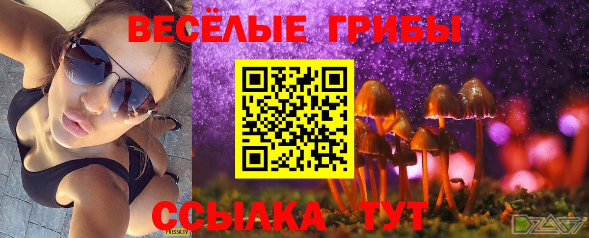 Псилоцибиновые грибы Magic Shrooms Апатиты
